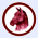 Reiten