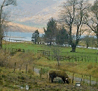 Herrliche Landschaft beim Cottage