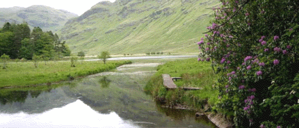 Blick vom Grundstck auf den Moidart River
