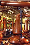 In einer Malt-Whisky Destillery